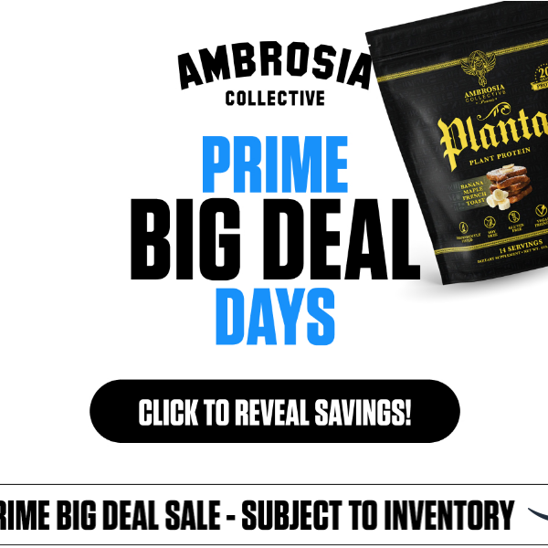 Welcome to the Amazon Prime Big Deal Sale!
