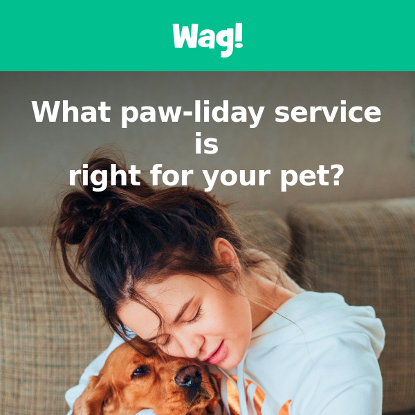 Find the perfect paw-liday service