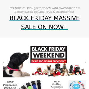 ⭐️ON NOW: MASSIVE Black Friday Deals For YOUR PET!