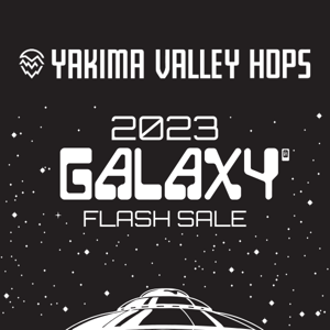 Galaxy Flash Sale Ends Tonight 👾