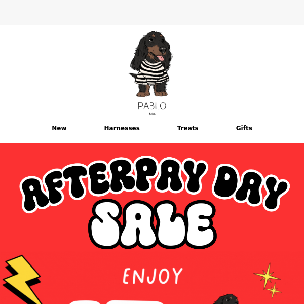 AFTERPAY DAY SALE 🎉 | New COLLECTION