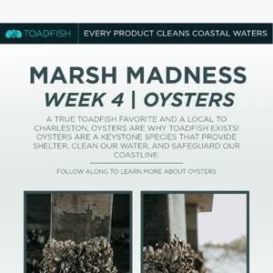 Marsh Madness Week 4 OYSTERS 🦪