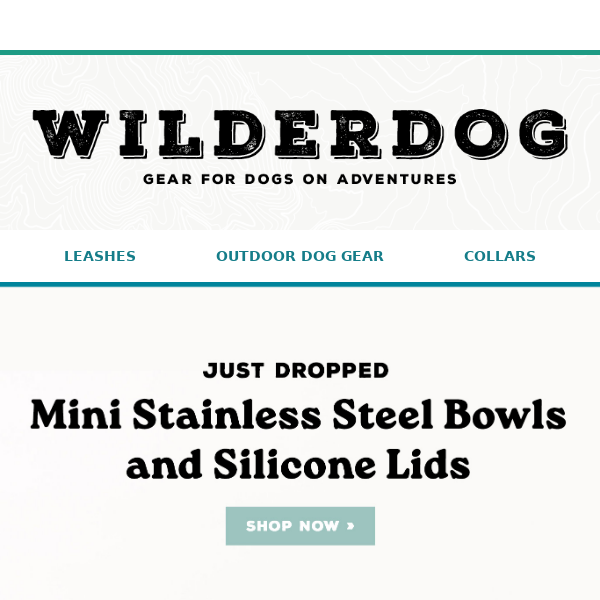 NEW Dog Bowls + Lids 🌭