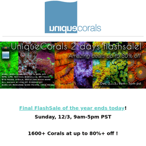 Our biggest sale of the year ends today ! Over 1600+ WYSIWYG corals at up to 80%+ off ! Scolymia, Wilsonii +more  ﻿ ﻿ 　　