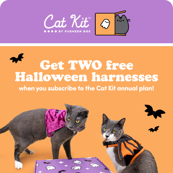 Want 2 FREE Halloween cat harnesses for your kitty?