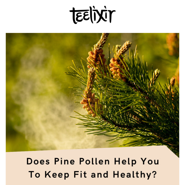 Does Pine Pollen Keep You Fit and Healthy?