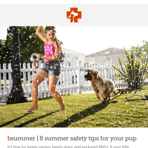 bmail: Hot tips for keeping your pet cool