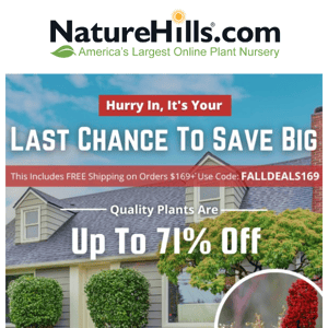 Up To 71% Off Plants Ends TODAY!