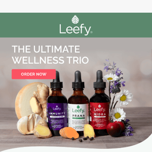 Unlock Complete Wellness with Our Ultimate Bundle!