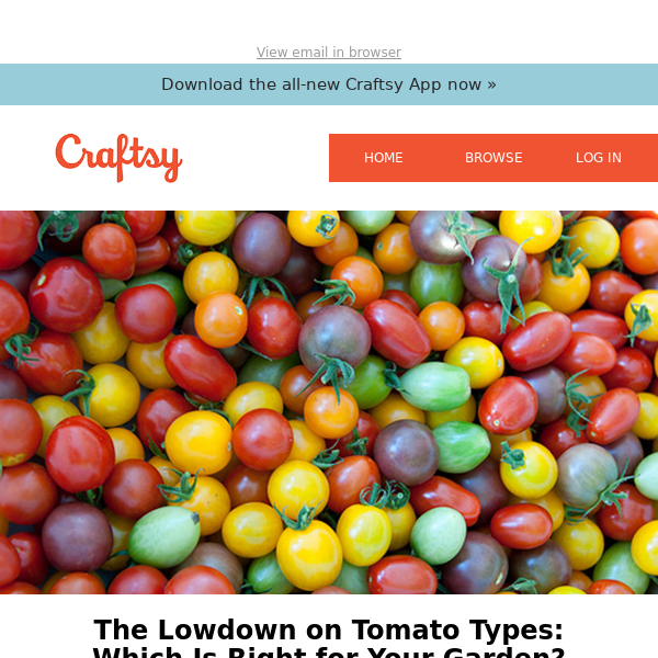 The Lowdown on Tomato Types: Which Is Right for Your Garden?