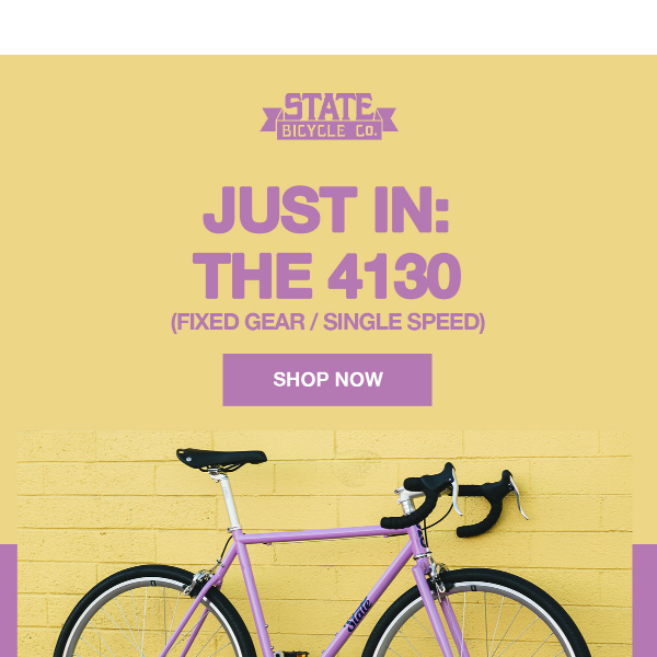 We Call It Purple Reign: The All New 4130 (Fixed Gear / Single Speed) You Don't Want To Miss