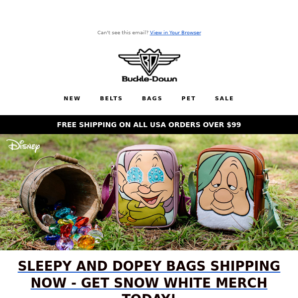 Sleepy and Dopey Bag Release!