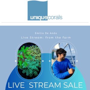 Livestream sale tonight ! Tune in for an exciting evening filled with hot corals and amazing deals ! ! !  ﻿ ﻿ 　　