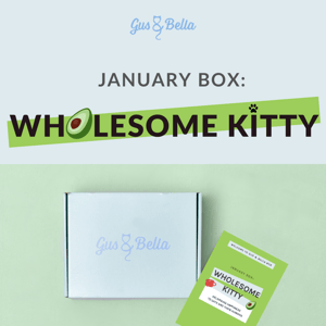 🥑 January Box Revealed: WHOLESOME KITTY