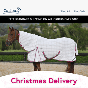 Don't miss delivery before Christmas! 🎄