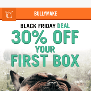Black Friday Sale: 30% OFF ❗❗