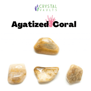 Do you own any Coral crystals? 😲