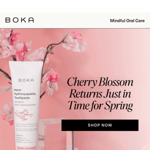 Cherry Blossom Is Back! 🌸