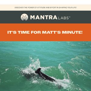 Matt's Minute: How Your Attitude and Effort Can Change Your Life! 🕒