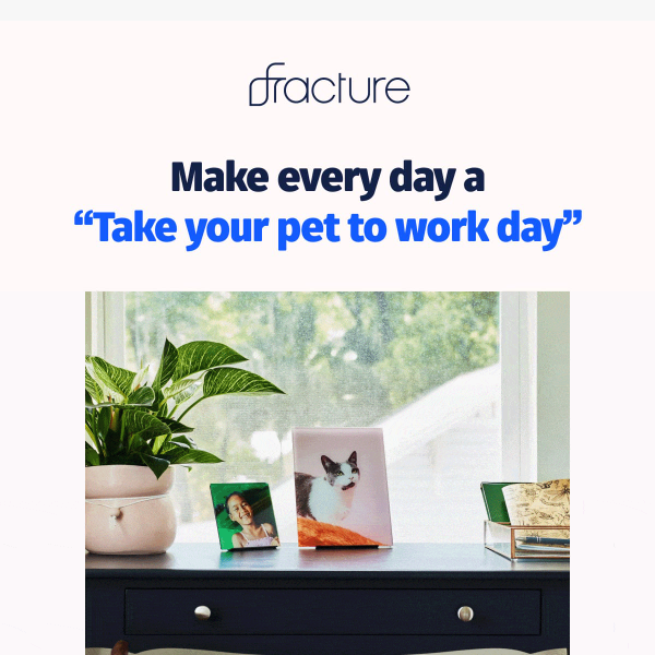 The easiest way to bring your pet to work 🐾