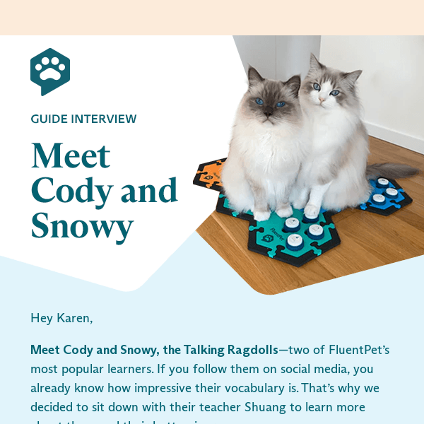 Meet Cody and Snowy, the Talking Ragdolls!