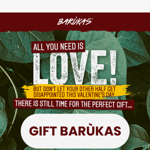 ❤ Last-Minute Valentine's Day Surprise: Barùkas ❤