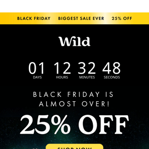 Last day for 25% OFF!