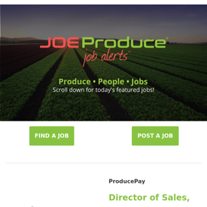Check Out These Jobs With ProducePay, Planasa USA, Mr. Greens Produce, T&A, Florida Produce Hub, DLJ Produce, Duncan Family Farms & Country Sweet Produce