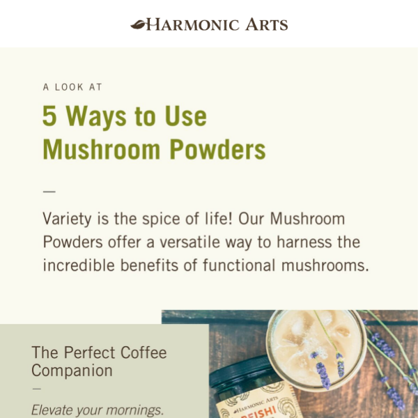 🍄 How do I use Mushroom Powders?