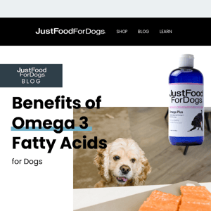 The Benefits of Omega-3 Fatty Acids for Dogs 🐟 🐶