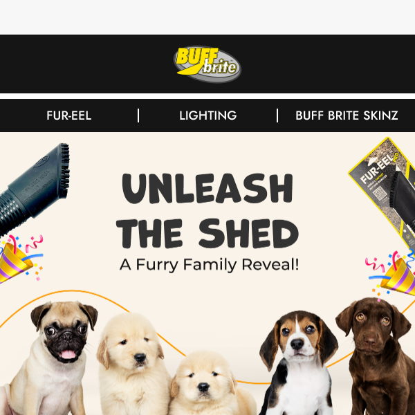Unleash the Shed: A Furry Family Reveal!