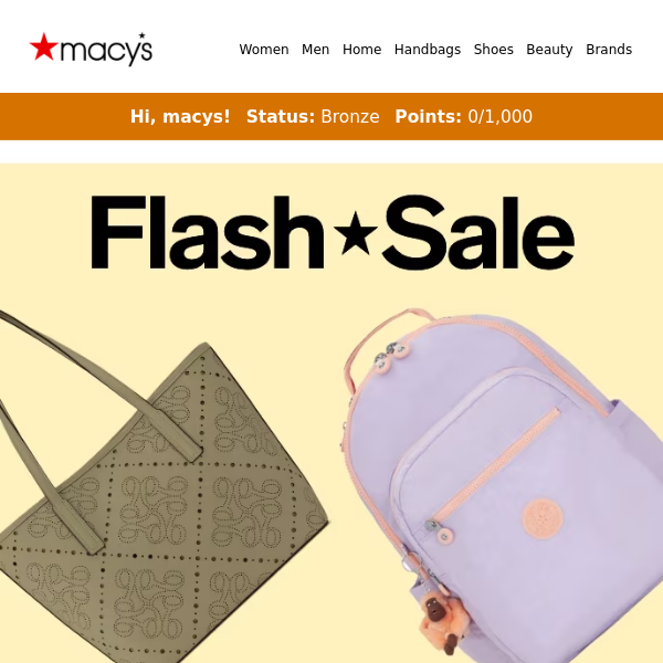 Hurry, Flash Sale 50-65% off handbags & more