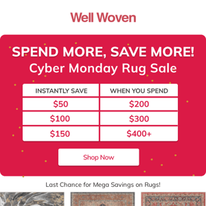 Time is running out! ⏳ Cyber Monday Rug Sale