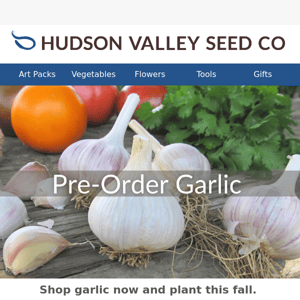 Pre-Order Garlic Now for Planting this Fall