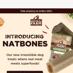 Introducing Natbones: Irresistible Dog Treats