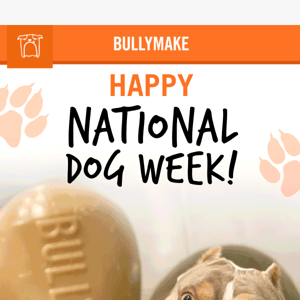 It's National Dog Week! 🐶🐾