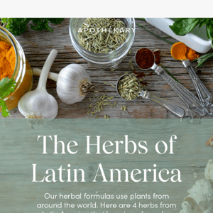 4 incredible Latin American herbs