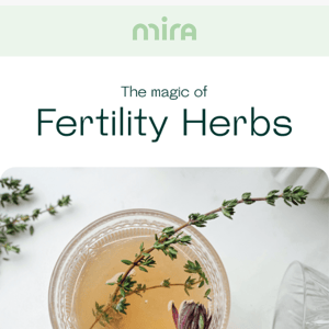 🌿 Which plants are better for your fertility?