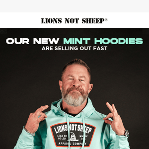 3 Brand New LNS Hoodies (Selling out fast)