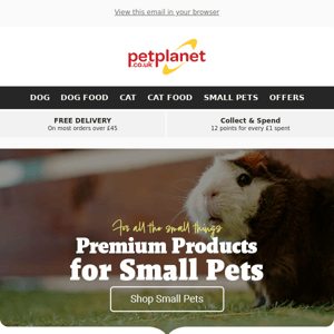 Discover Premium Products for Small Pets