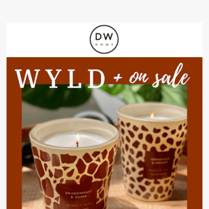 WYLD & ON SALE! 🐆🌴🦒