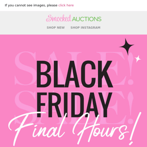 Black Friday Final Hours! Don't miss $22.50 & Under!