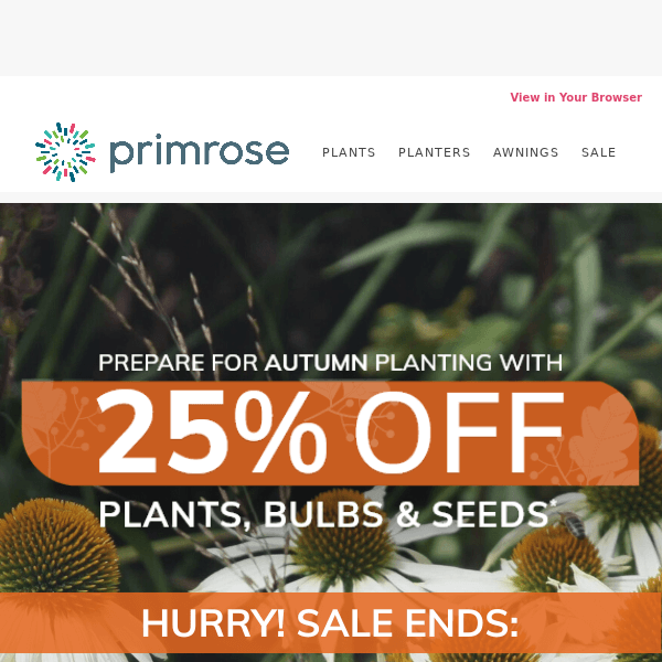 Last Chance to Save 25% on Plants! ⏰