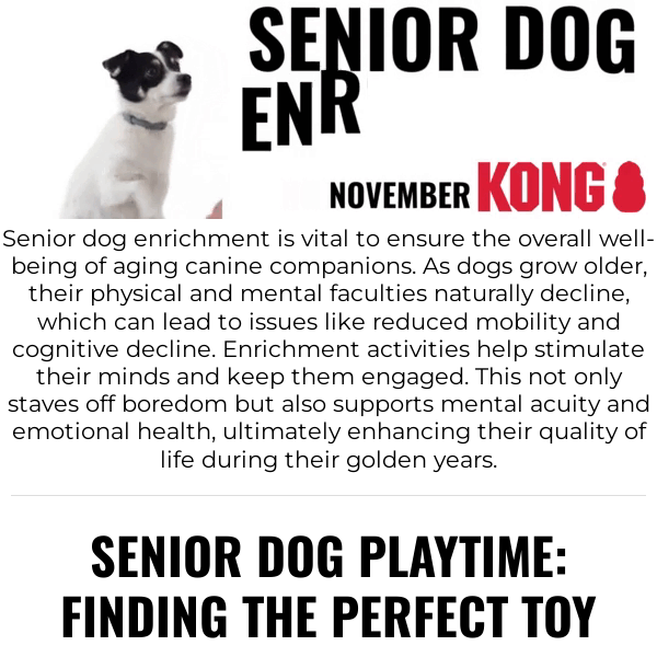 How to mentally stimulate a senior dog