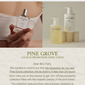 Pine Grove Promotion Ends in 24 Hours 🌲✨