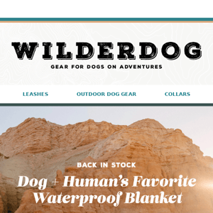 Waterproof Sherpa Blankets are Back in Stock! 🐕