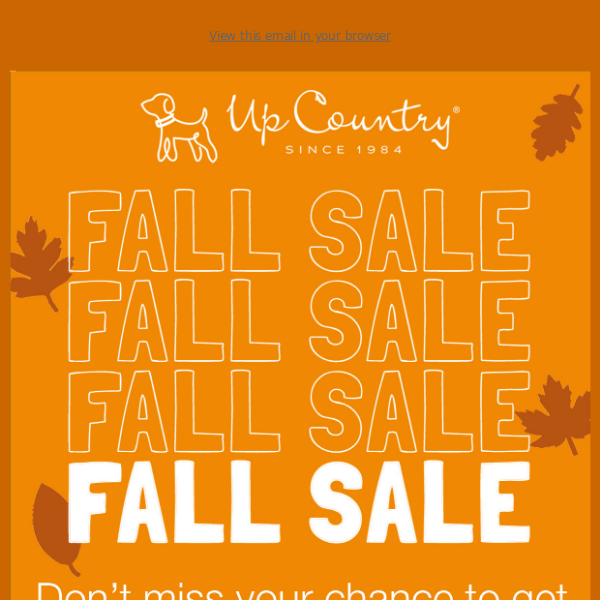 FALL SALE 🍂 ENDS TONIGHT!