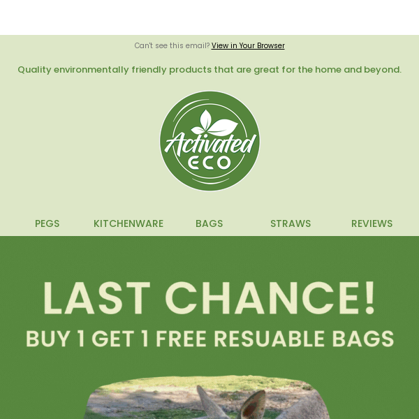🌿 Last Chance! Buy 1 Get 1 FREE Ends Soon on Reusable Bags!