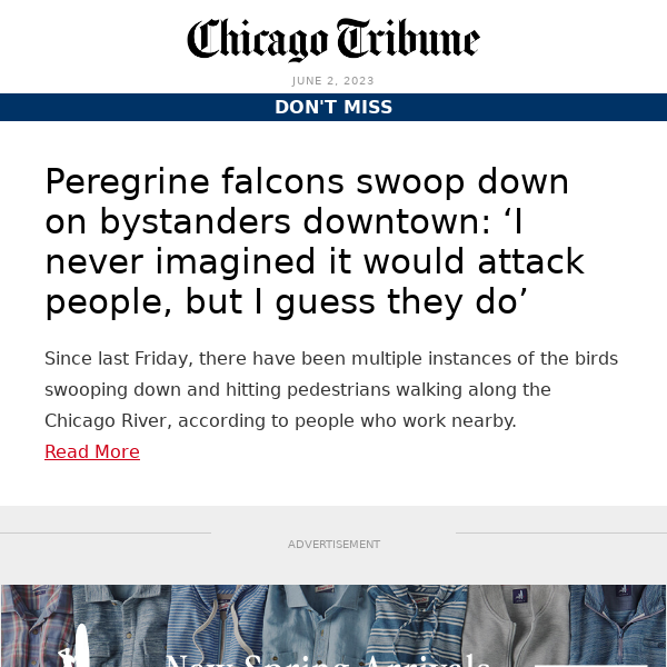 Peregrine falcons attack bystanders downtown