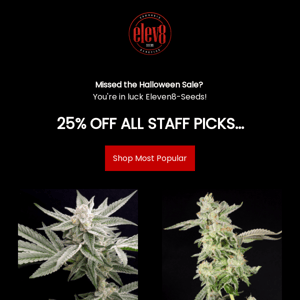 Did you miss the sale Eleven8-Seeds? Fear not! We still have 25% off 4 strains...